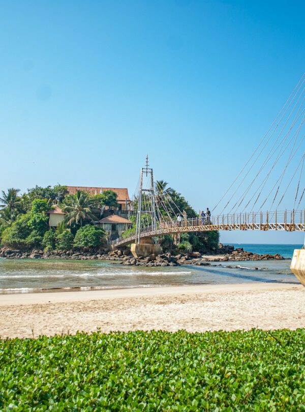 brown wooden bridge over the sea during daytime