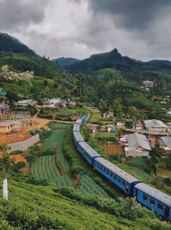 blue train travelling near houses