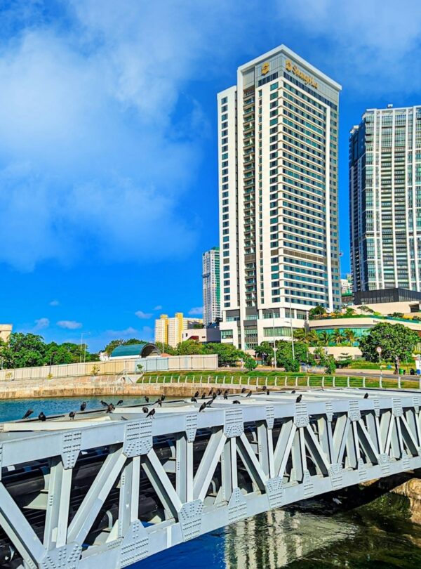 white bridge over river near city buildings during daytime