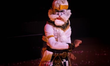 A person in a costume standing on a stage