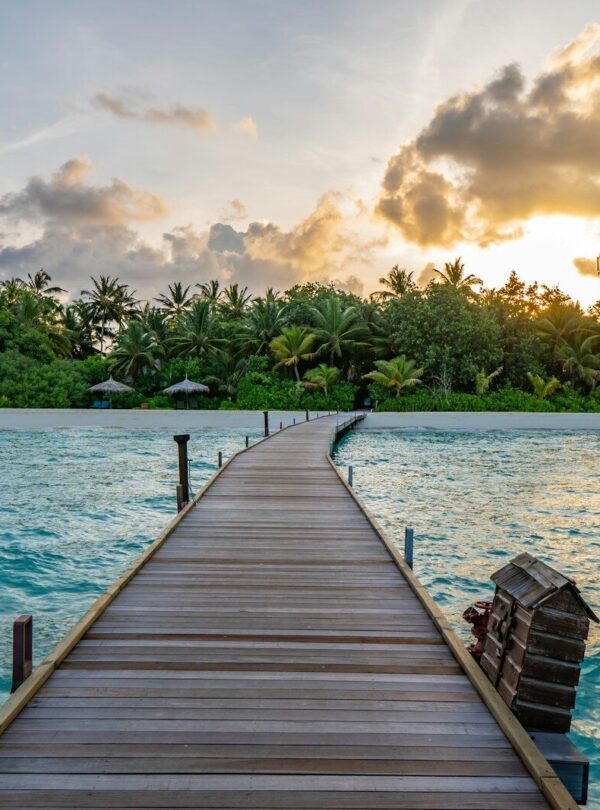 brown wooden dock on blue sea under white clouds during daytime