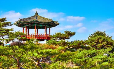 gazebo near trees at daytime