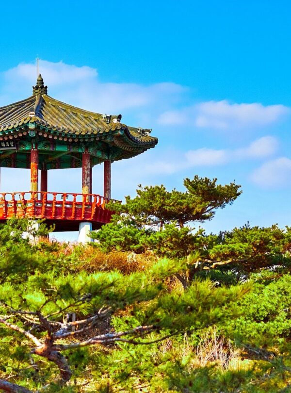gazebo near trees at daytime