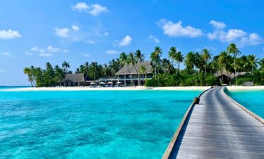 green palm trees near swimming pool during daytime