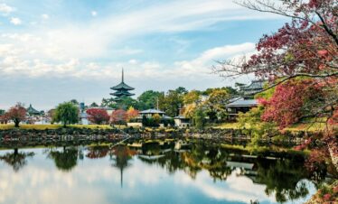 body of water near green trees under blue sky during daytime