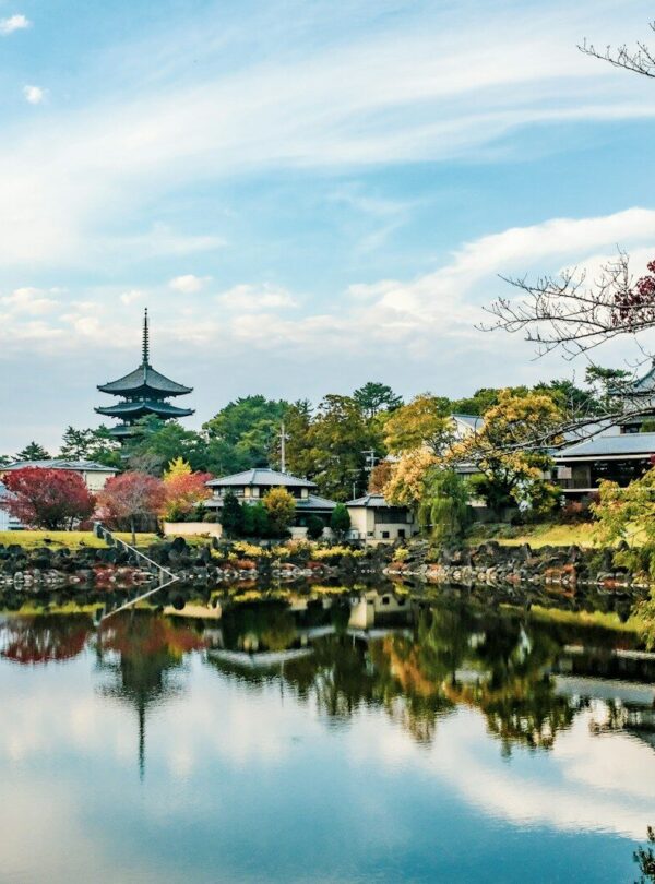 body of water near green trees under blue sky during daytime