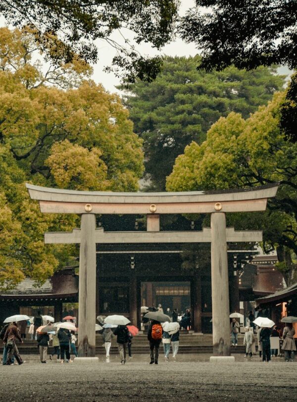 a group of people with umbrellas standing in front of a gate