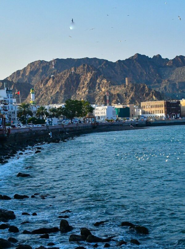 a body of water with a mountain in the background