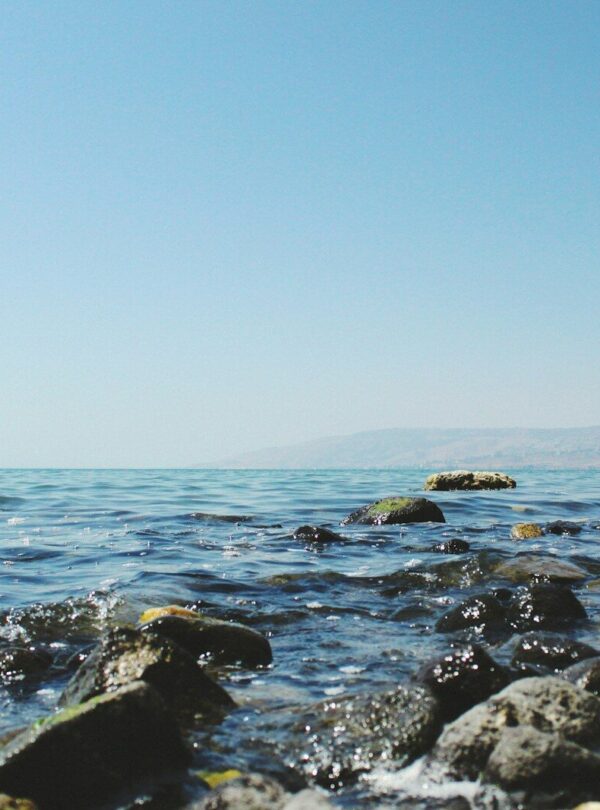 body of water during daytime