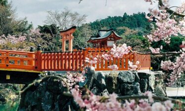 brown and white house near body of water