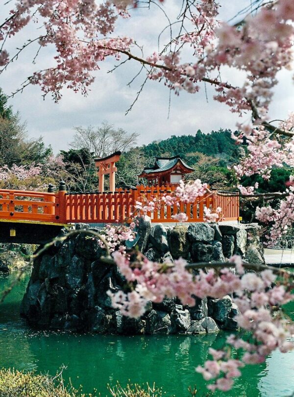 brown and white house near body of water