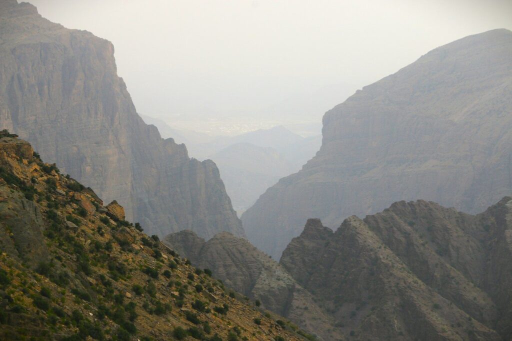 A mountain range with a bird flying over it