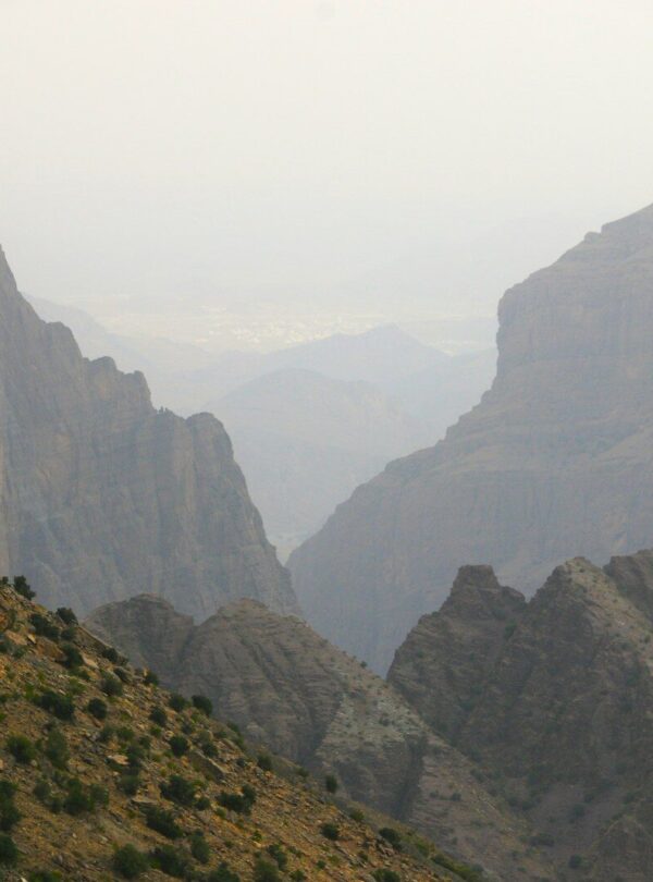 A mountain range with a bird flying over it