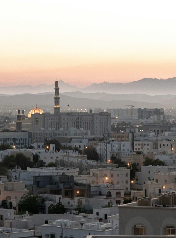 A view of a city with mountains in the background