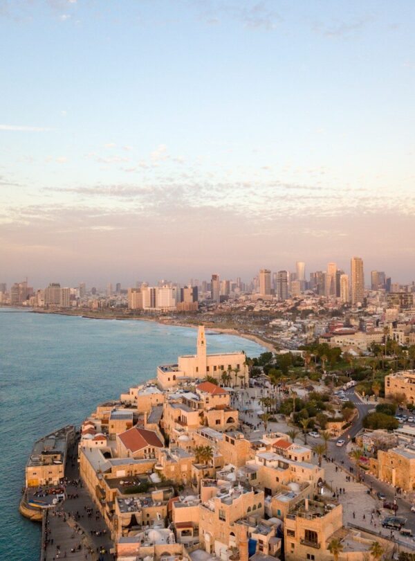 aerial view photography of city beside body of water
