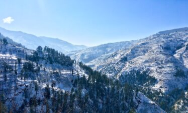 green pine trees on mountain under blue sky during daytime