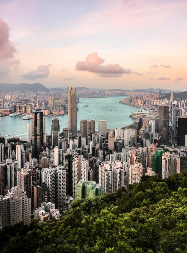 aerial photography of city, body of water, and forest