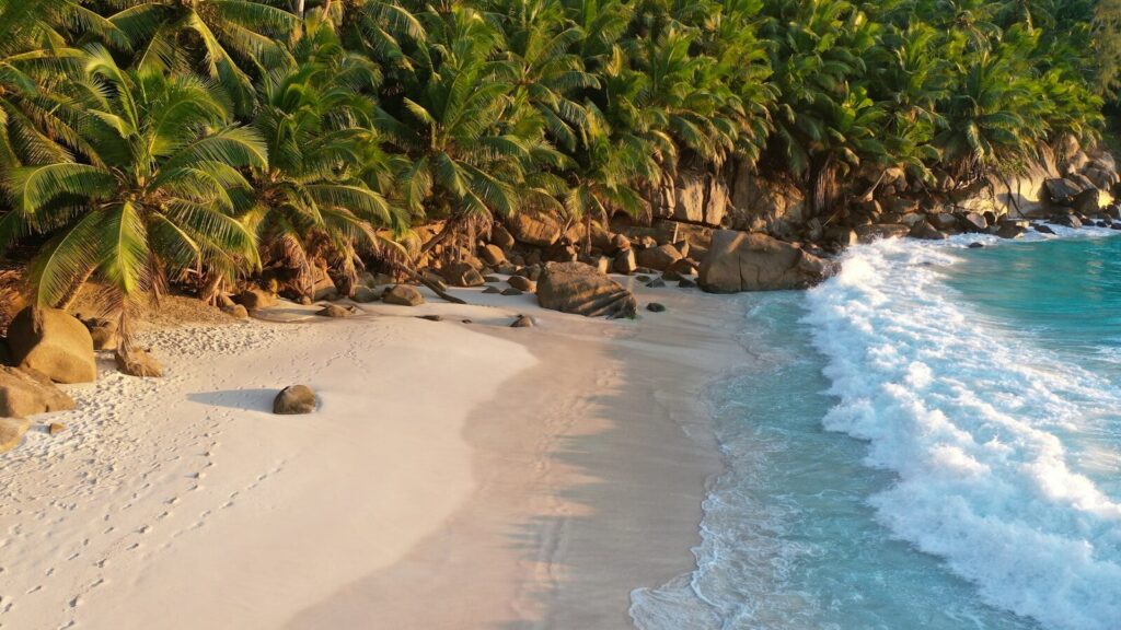 waves crashing on seashore during daytime
