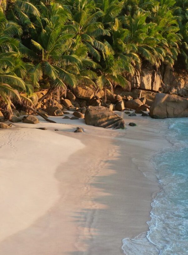 waves crashing on seashore during daytime