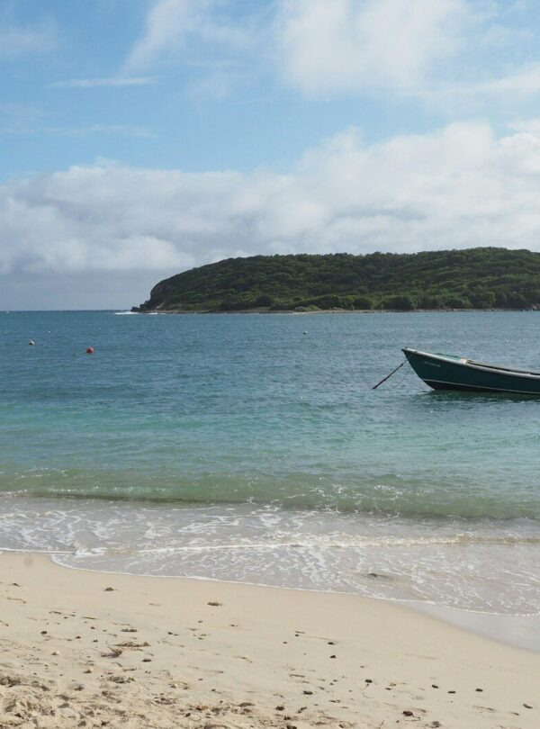a boat on the beach with a small island in the background