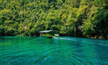 green and brown wooden house on green lake surrounded by green trees during daytime
