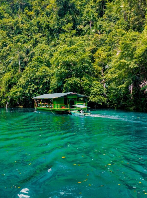 green and brown wooden house on green lake surrounded by green trees during daytime