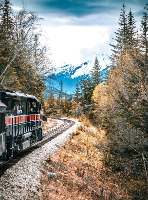 Train traveling through a forest towards mountains