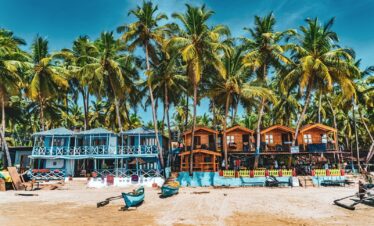 people on beach during daytime