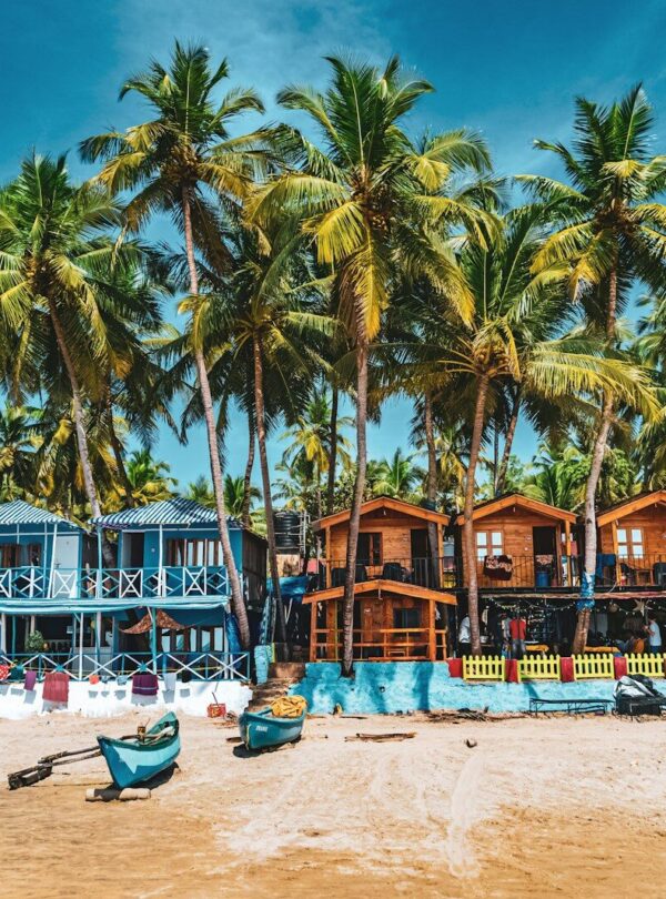 people on beach during daytime