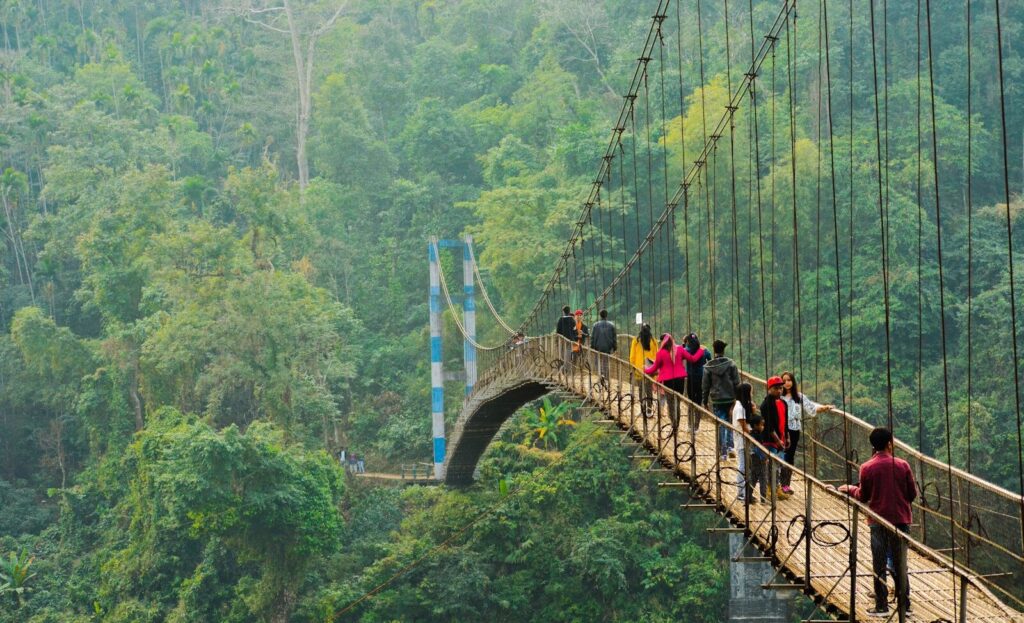 people walking on hanging bridge during daytime