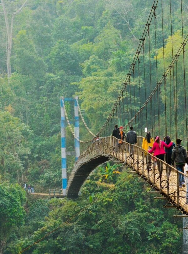 people walking on hanging bridge during daytime