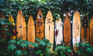 brown wooden clothes hangers on green plants