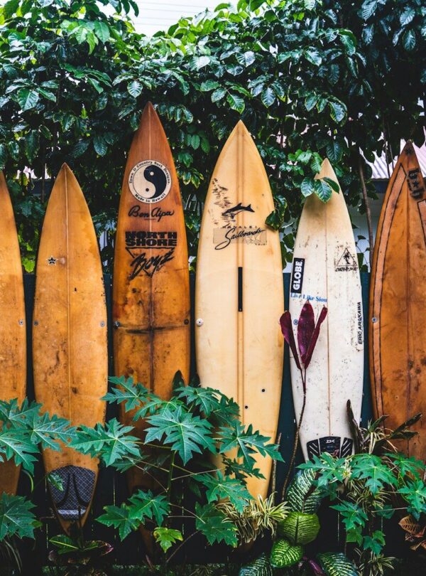 brown wooden clothes hangers on green plants