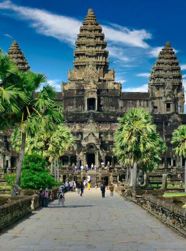 people walking on park near trees and building during daytime