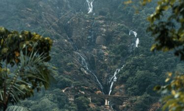 a waterfall in a forest