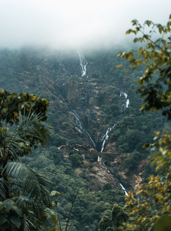 a waterfall in a forest