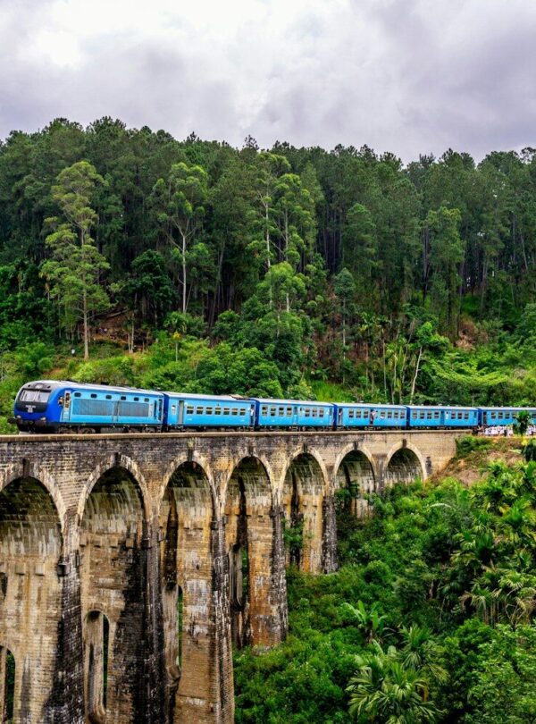 blue train surrounded by trees