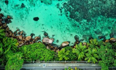 aerial view of people on beach during daytime