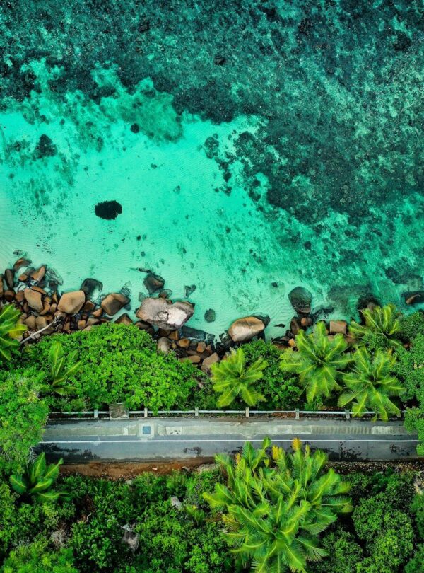 aerial view of people on beach during daytime