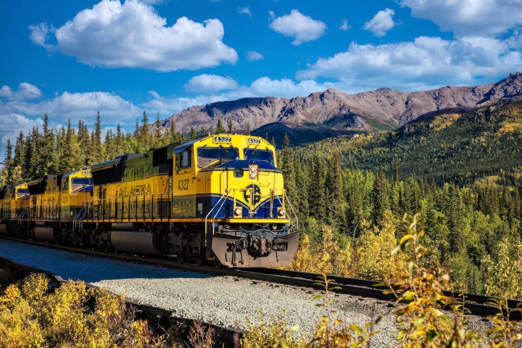 The Alaska Train from Denali National Park
