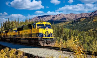 The Alaska Train from Denali National Park