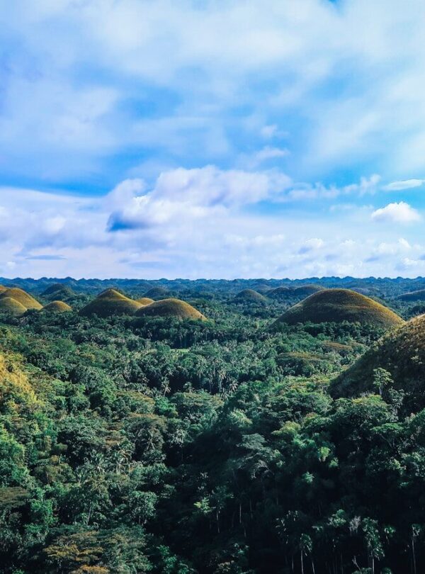 green grass field under blue sky during daytime