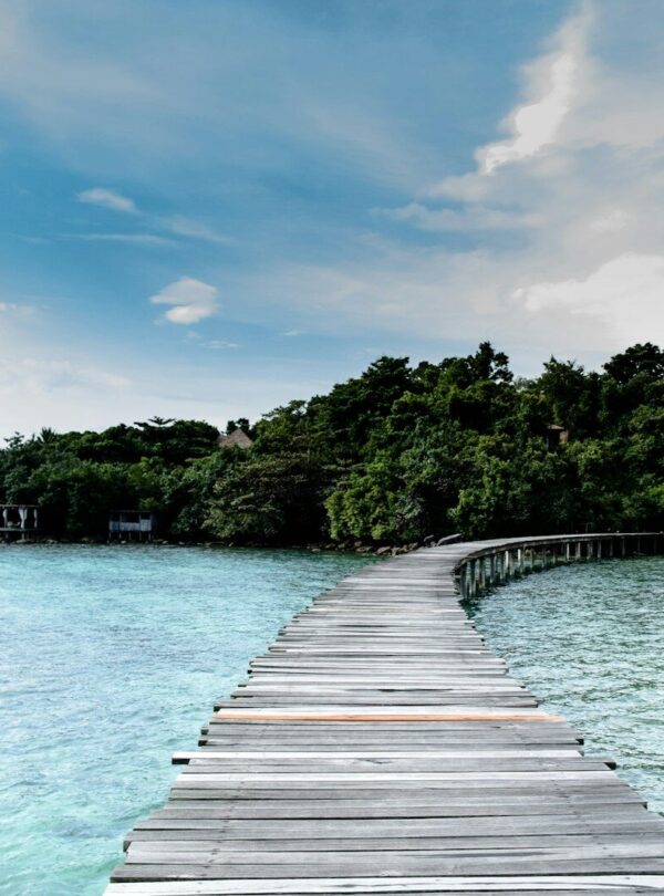 brown wooden dock on body of water during daytime