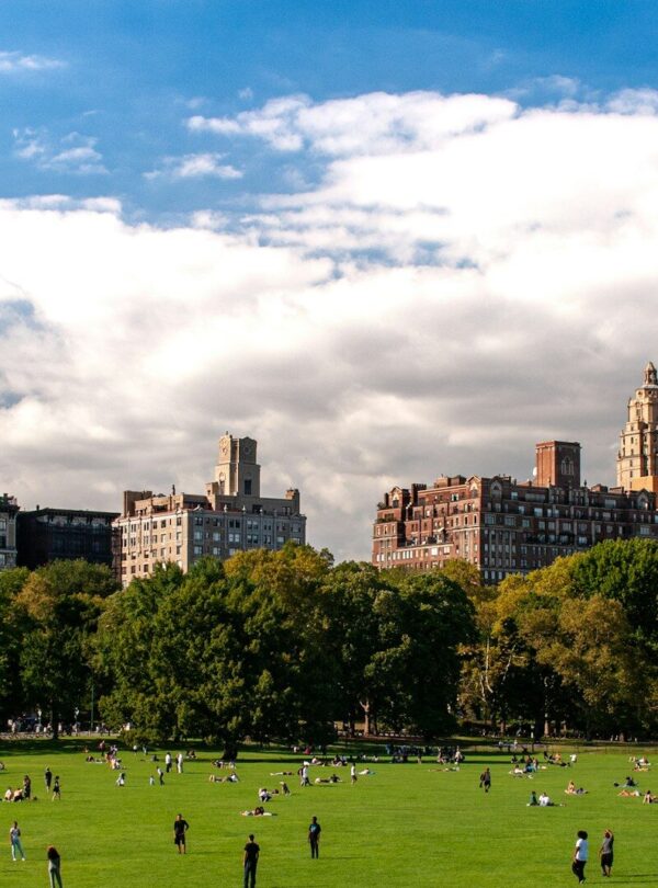 people playing soccer on green grass field during daytime