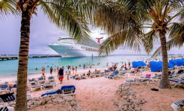 people on beach during daytime