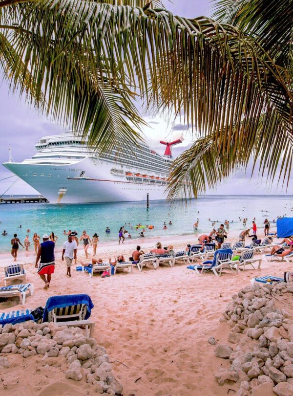 people on beach during daytime