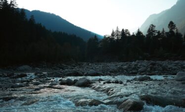 A river running through a lush green forest