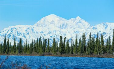 green pine trees near snow covered mountain during daytime