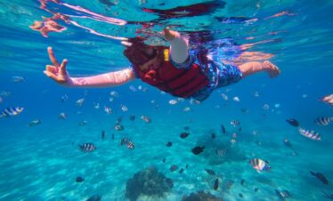 a person under water with a lot of fish