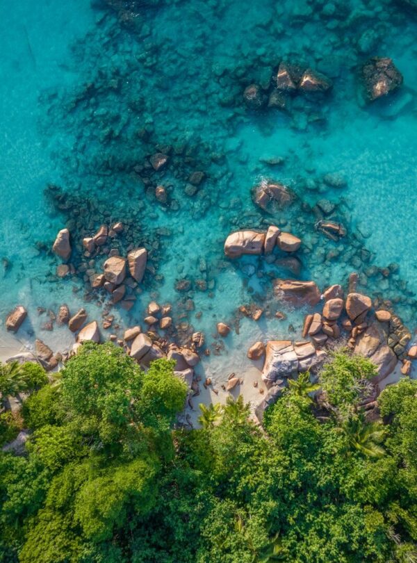 a body of water with rocks and trees around it